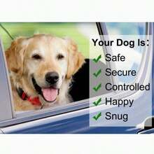 1件可调节宠物汽车安全带，采用二合一尼龙皮革腰带和后排安全带设计 - 彩色 - 查看 5