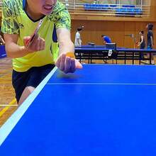 20 PCS Three-Star Table Tennis Balls Made Of New Materials, Thickened And Highly Elastic, Designed For Professional Training And Durable Matches - Multicolor - View 11