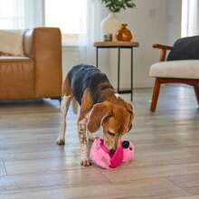 Outward Hound By Nina Ottosson Hide-Ablez Plush Dog Puzzle With Treat Ball, Flamingo, Pink - ColorA - 查看 6
