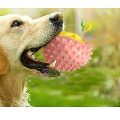1 món đồ chơi cho thú cưng, đồ chơi gặm cho chó, đồ chơi TPR bền chắc có tiếng kêu, đồ dùng cho thú cưng hình quả sầu riêng