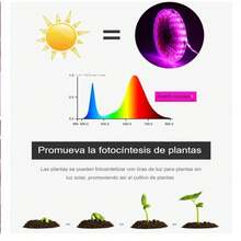 Luz Led USB cultivo plantas tira lámpara Phyto completo semillas flores invernadero plantas - Azul - Ver 2