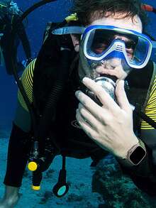 这款运动型高山尼龙表带（1条装）兼容尺寸为38mm、40mm、41mm、42mm、44mm、45mm、46mm和49mm的表带。它柔软透气、可调节，非常适合户外运动。男女款 Ultra/11/10/9/8/7/6/5/4/3/SE均适用。佩戴方便，舒适透气，可水洗。 - 綠色 - 查看 5