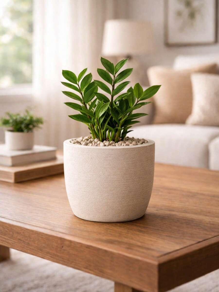 PP Cone Vase 6 Liters: Polyethylene Resistant To Sun Exposure And Weather, Modern Style And Guaranteed Durability - 米色 - 查看 1