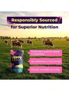 PrimalQueen Women's Organ Complex – GrassFed Beef Liver, Heart, Kidney, Pancreas, Spleen & Thymus – Nutrient Support For Hormone Balance & Energy – 60 Capsules - 2 件裝 - 查看 11