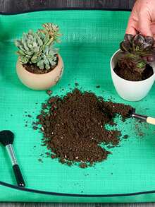 加厚防水花园垫，换土垫，适用于种植花卉、多肉植物、园艺工具、家庭蔬菜种植、换盆等。 - A - 查看 3