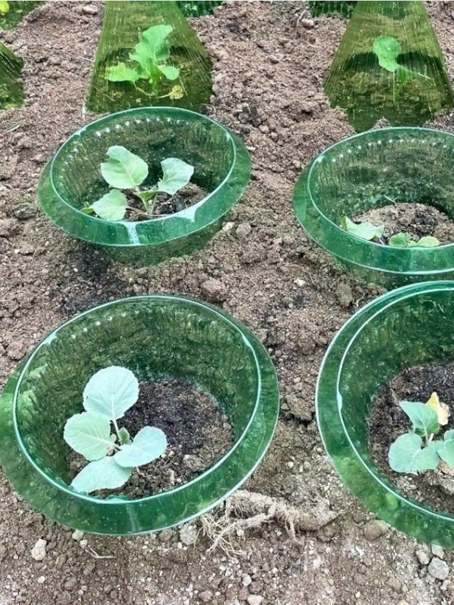 Protectores de plantas tipo campana de jardín, collares de protección de plantas redondos de plástico, barrera de defensa contra caracoles y babosas, cubiertas de protección químicamente libres para verduras y flores - A - Ver 1