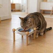 1个亚克力材质的带木腿的陶瓷高脚碗，高温陶瓷烧制而成，易于清洗，卡通钢琴兔飞碟造型，适用于盛放宠物猫狗的食物和水。 - 260毫升 - 查看 7