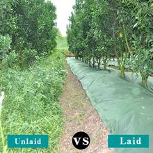 全新!39.37x393.7英寸 重型绿黑双层阻隔布 | 1.77盎司/平方码厚无纺布 | 三重穿孔:阻挡杂草,透气排水 | 促进根系生长,适用于花园、蔬菜、果园和景观美化 - 綠黑打孔 - 查看 6