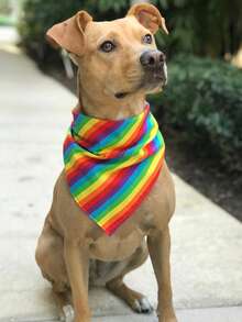 5 Stück Unabhängigkeitstag Hunde Bandanas mit Sommer Obst Muster, Pride Day Lätzchen Dreieck Hunde Schal, bunte Ozean Hunde Bandanas für mittelgroße und große Hunde, Geburtstags Sommer Kostüm Accessoires Dekoration - Verschiedenfarbig - Übersicht 11