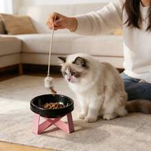 15° Tilted Anti-Vomiting Raised Pet Feeding Bowl, High Stand Cat/Dog Bowl, Protects Neck & Spine, Wide Base, Suitable For Cats & Small Dogs, Wet & Dry Food, Practical Pet Gift - Multicolor - View 7