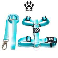 H-Shaped Dog Harness With 1.20m Standard Leash - Màu xanh bạc hà - Xem 3