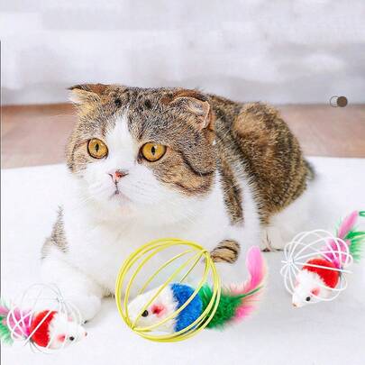 1pc Colorful Hamster In Cage Interactive Cat Toy, Lets Your Cat Play With Rolling Ball And Mouse Toy! (Random Color)