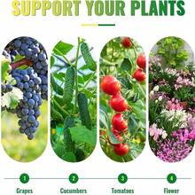 27pcs Multi-Function Metal Core Garden Support Stake Set, Includes Support Rods, A-Shaped Connectors, Connecting Tubes And Plastic-Coated Clips, Rust-Resistant Easy Installation, Suitable For Cucumber, Tomato, Beans And Other Climbing Vegetables - Garden Trellis - View 11