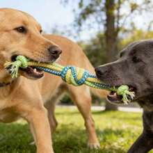 Tug Of War Dog Toy | Interactive Rope Toy For Active Dogs | Prevents Boredom And Destructive Behavior - A-1PCS - View 2