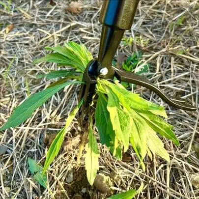 1 đầu nhổ cỏ đứng - Dụng cụ nhổ rễ thủ công 4 càng cho vườn và bãi cỏ, dụng cụ đào đất hạng nặng với càng bằng kim loại