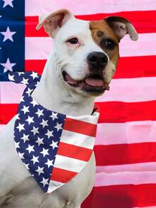 5 Stück Unabhängigkeitstag Hunde Bandanas mit Sommer Obst Muster, Pride Day Lätzchen Dreieck Hunde Schal, bunte Ozean Hunde Bandanas für mittelgroße und große Hunde, Geburtstags Sommer Kostüm Accessoires Dekoration - Verschiedenfarbig - Übersicht 10