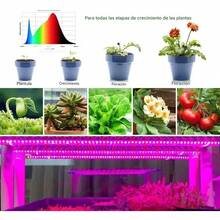 Luz Led USB cultivo plantas tira lámpara Phyto completo semillas flores invernadero plantas - Azul - Ver 6