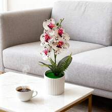 1pc Artificial Phalaenopsis Orchid - Realistic Texture Phalaenopsis Potted Plant, Fake Orchid Decor, Suitable For Home, Hotel, Office Desk, Comes With Plastic Pot - Multicolor - View 9