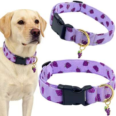 طوق كلب لطيف مع قلادة فاكهة، طوق أليف قابل للتعديل لطيف ومريح مع طباعة التوت الأزرق والتفاح والفراولة والعنب، مناسب للكلاب الصغيرة والمتوسطة والكبيرة