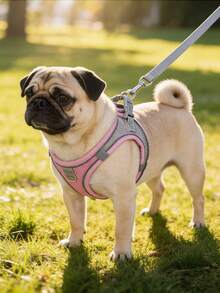 At/狗牵引绳和胸背带 - 透气网眼背心配加厚尼龙牵引绳，狗胸背带，狗用品，狗牵引绳，狗胸背带和牵引绳，适合小型至中型犬；宠物项圈 - 防勒颈设计，带双 D 形环。 - 彩色 - 查看 6