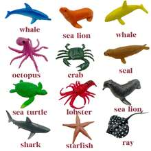 6件套随机海洋动物玩具套装：迷你海洋生物玩偶，益智圣诞礼物，逼真的鲸鱼、海狮、鲨鱼、海龟、海马等。 - 彩色 - 查看 5