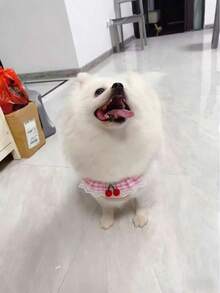 可爱樱桃格子宠物胸背带牵引绳套装，蕾丝边防拉扯狗狗背心带牵引绳，适合小型犬猫，博美犬遛狗用品 - 粉色 - 查看 13