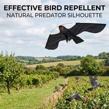 Flying Hawk Kite Garden Bird Repeller Scarer Extendable With 4m Telescopic Poles - Black - View 1