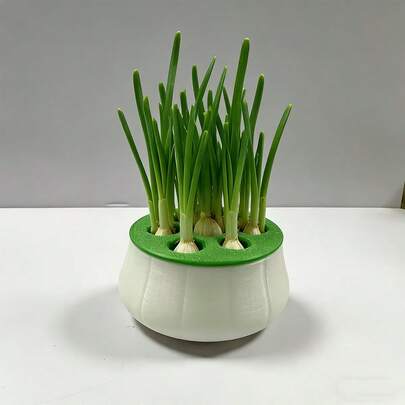 这款一体式小型水培植物容器，白色底座搭配绿色盖子，适用于室内厨房种植、家庭园艺、小型水培、植物繁殖和再生农业，非常适合家庭和办公室使用。