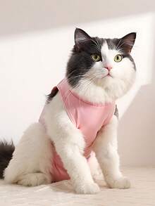 PETCHIC 1件装柔软轻薄猫咪绝育手术服，透气猫咪术后恢复服，防舔舐伊丽莎白圈替代品及皮肤病背心（粉色/蓝色） - 彩色 - 查看 5