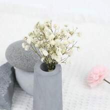 HOSY 50/100 pièces Fleurs de marguerite blanches artificielles pures - Délicates, faciles DIY, conviennent pour les mariages, la décoration de la maison et du bureau, les fêtes et les jardins - Couronne de style bohème pour table, sans plumes, sans électricité nécessaire, convient pour la décoration de Noël, d'Action de grâce et d'Halloween, cadeau de Noël et décoration de Noël pour la maison - Multicolore - Voir 5