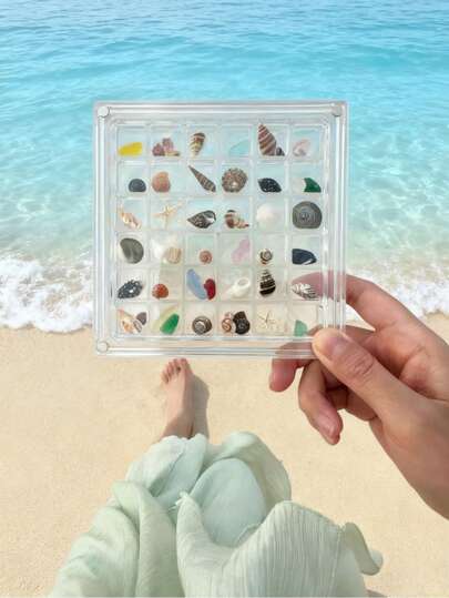1pc/2pcs Multi-Compartment Shell Earring Organizer With Clear Acrylic Design. Perfect Travel Storage For Beach Essentials, Keeps Your Jewelry Organized And Adds Cute Room Decor To Any Space.