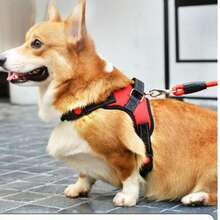 Langxingcs Pet Cat Dog Leash Set With Escape-Proof Adjustable Harness, Reflective Safety Strap And Collar, Soft Breathable Mesh Material - Hot Pink - View 4