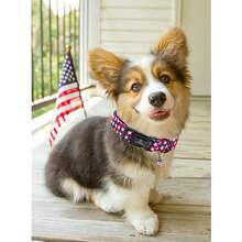 Patriotic American Flag Dog Collar, Adjustable Pet Accessory For 4th Of July Independence Day, Summer - Royal Blue - View 6