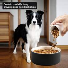 1个6.2英寸陶瓷宠物碗，带刻度线，黑色猫狗喂食碗，防滑平底水碗，适用于幼猫幼犬 - 300ml - 查看 1