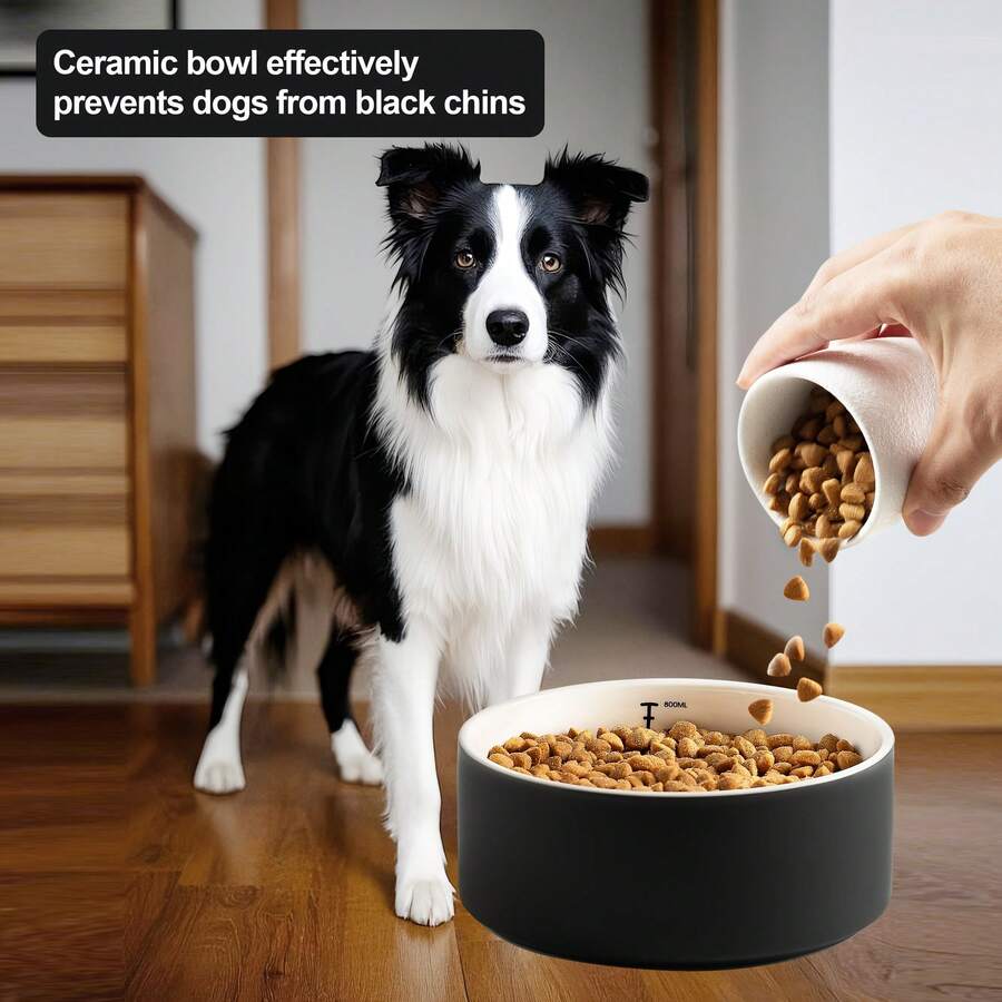 1个6.2英寸陶瓷宠物碗，带刻度线，黑色猫狗喂食碗，防滑平底水碗，适用于幼猫幼犬 - 300ml - 查看 1