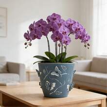 3/1 pieza Maceta de Doble Capa con Patrón 3D de Mariposa Voladora, Diseño de Insecto Multicolor con Agujero de Drenaje, Adecuada para Decoración Interior y Exterior, Ornamento, Cultivo de Flores, Regalo - A - Ver 9