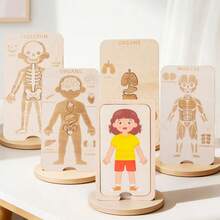 Children Montessori Educational Wooden Boys Girls Body Structure Human Body Puzzle - Clear - View 14