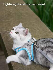 At/狗牵引绳和胸背带 - 透气网眼背心配加厚尼龙牵引绳，狗胸背带，狗用品，狗牵引绳，狗胸背带和牵引绳，适合小型至中型犬；宠物项圈 - 防勒颈设计，带双 D 形环。 - 彩色 - 查看 4