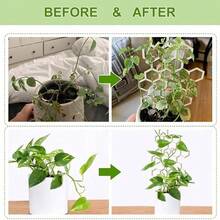 4pcs Honeycomb Plant Trellis, Suitable For Ivy And Vines, Wooden Garden Support Rack, Well-Received - A - View 3