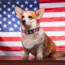 Elegant Tail Design Pet Collar, Adjustable Soft Plastic Buckle Collar For Small/Medium/Large Dogs, Patriotic Pet Gift - Red Violet - View 6