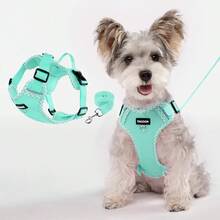 （2件套）小型犬胸背带套装，带牵引绳，格子拼接装饰，可调节反光柔软透气网眼宠物胸带，方便遛狗 - 彩色 - 查看 8