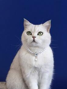 1 pieza Collar de joyería de perlas falsas de doble capa de moda para mascotas, gatos y perros, accesorio de collar para mascotas - Multicolor - Ver 6