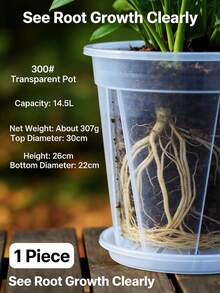 6pcs Transparent Orchid Pots, Clear Planting Pots For Phalaenopsis, Bonsai, Succulents - Multicolor - View 2