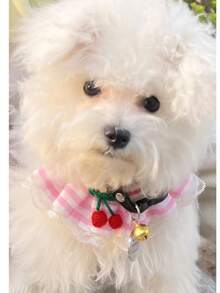 可爱樱桃格子宠物胸背带牵引绳套装，蕾丝边防拉扯狗狗背心带牵引绳，适合小型犬猫，博美犬遛狗用品 - 粉色 - 查看 5