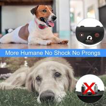 PaiPaitek No Shock Dog Training Collar With Remote, Lightest Vibration Collar For Small Dogs 5-15lbs & Medium Large Dogs, Rechargeable, Waterproof, 1600ft Range, No Prongs - Multicolor - View 7
