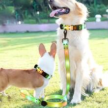 Correa luminosa recargable por USB y resistente al agua para perros, adecuada para perros medianos y grandes - Multicolor - Ver 1