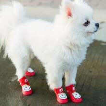These Adorable Cartoon Monkey Pattern Rain Boots Can Protect Your Pet's Paws And Keep Them Dry! - Multicolor - View 4
