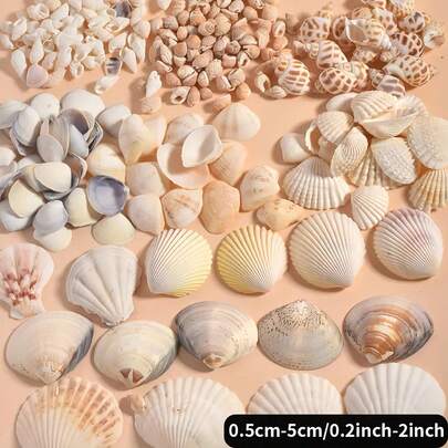 100/200 chiếc vỏ sò và ốc xà cừ nhiều màu sắc, trang trí bể cá, làm đồ trang sức DIY, trang trí phòng tắm, nến tiệc, trang trí đám cưới, các dự án thủ công như chuông gió, vòng cổ, vòng tay, bông tai, phong cách bãi biển & đại dương, trang trí tường [Có thể kèm thêm một số chiếc để tránh hư hỏng trong quá trình vận chuyển]