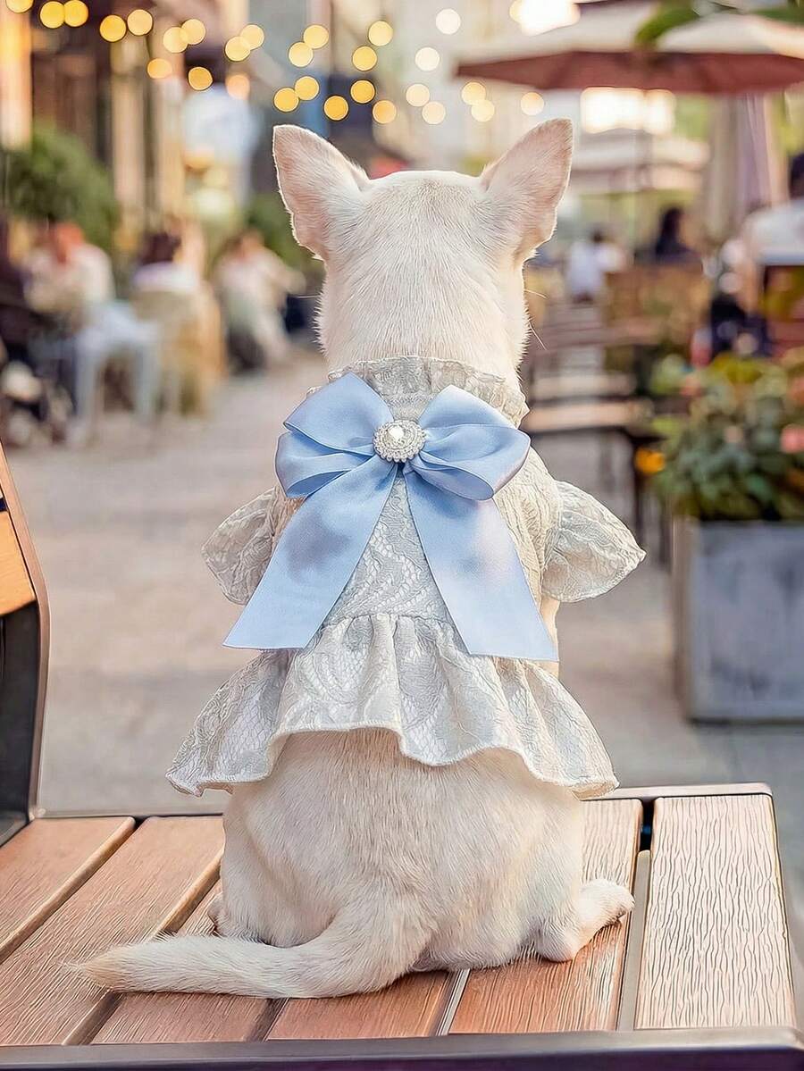 宠物连衣裙一件装，可爱浪漫蕾丝薄纱裙套装，适合小型犬和幼犬，法式蓝色蝴蝶结设计 - 彩色 - 查看 1