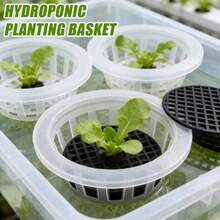 水培种植篮，带防漏膜，透明育苗杯，适用于花盆、玻璃花瓶、绿萝卜等无土栽培植物 - 籃子 - 查看 12